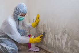 Best Crawl Space Mold Remediation  in Columbia, KY